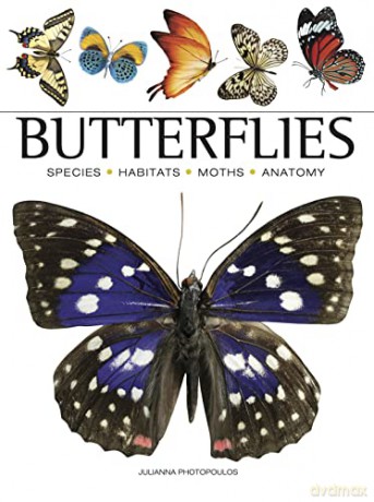 Butterflies - J Photopoulos [KSIĄŻKA]