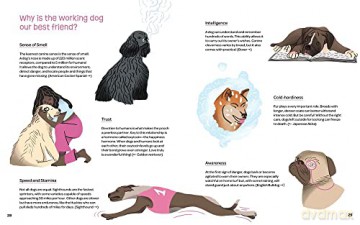 Dogs Who Work - Valeria Aloise [KSIĄŻKA]