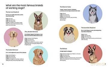 Dogs Who Work - Valeria Aloise [KSIĄŻKA]