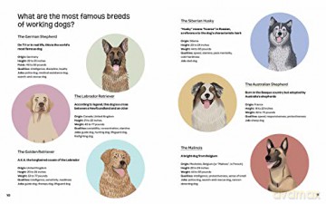 Dogs Who Work - Valeria Aloise [KSIĄŻKA]
