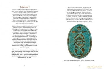 Ancient Egyptian Hieroglyphs Illustrated - Trevor Naylor [KSIĄŻKA]