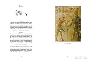 Ancient Egyptian Hieroglyphs Illustrated - Trevor Naylor [KSIĄŻKA]