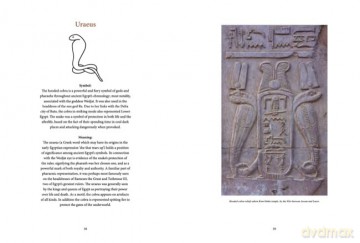 Ancient Egyptian Hieroglyphs Illustrated - Trevor Naylor [KSIĄŻKA]