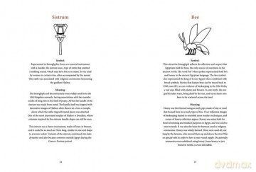 Ancient Egyptian Hieroglyphs Illustrated - Trevor Naylor [KSIĄŻKA]