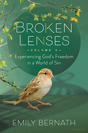 Broken Lenses Volume 3 [KSIĄŻKA]