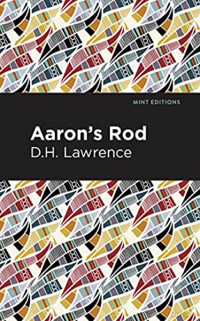 Aaron S Rod [KSIĄŻKA]