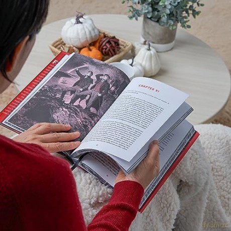 Frankenstein Deluxe Edition - Mary Shelley [KSIĄŻKA]
