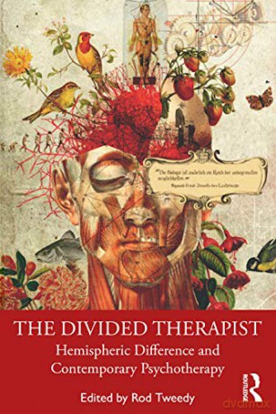 Divided Therapist - Tweedy Rod [KSIĄŻKA]