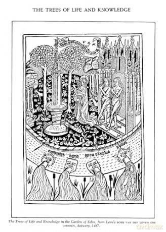 Folklore Symbolism Of Flowers - Ernst Lehner [KSIĄŻKA]