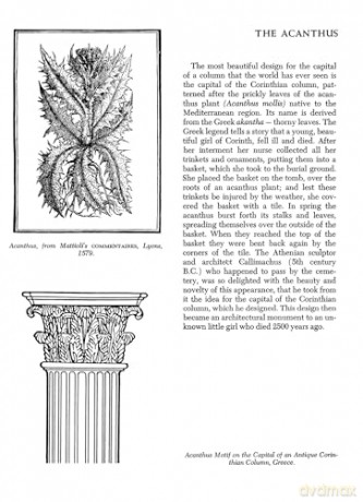 Folklore Symbolism Of Flowers - Ernst Lehner [KSIĄŻKA]