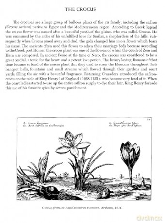 Folklore Symbolism Of Flowers - Ernst Lehner [KSIĄŻKA]