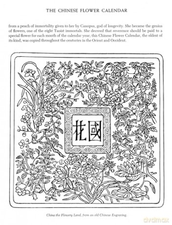 Folklore Symbolism Of Flowers - Ernst Lehner [KSIĄŻKA]