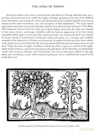 Folklore Symbolism Of Flowers - Ernst Lehner [KSIĄŻKA]