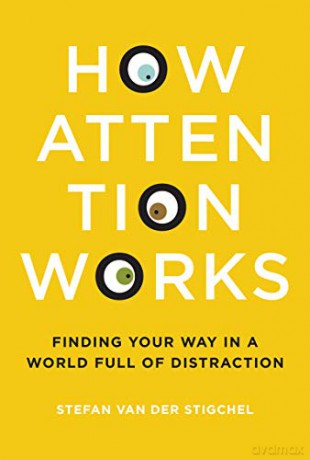 How Attention Works - St Van Der Stigchel [KSIĄŻKA]