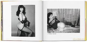 Big Butt Book - D Hanson [KSIĄŻKA]