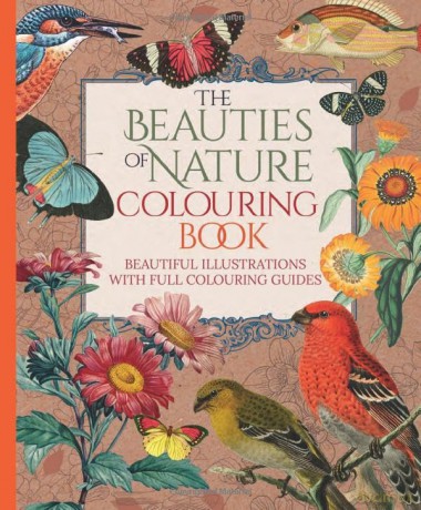 Beauties Of Nature Colouring Book - Tansy Willow [KSIĄŻKA]