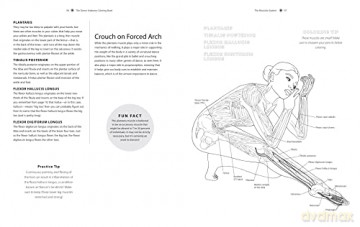 Dance Anatomy Coloring Book - Tricia Zweier [KSIĄŻKA]