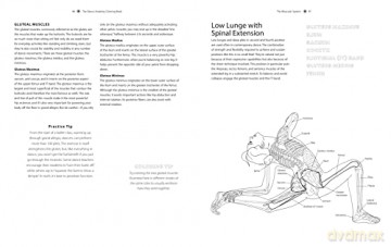 Dance Anatomy Coloring Book - Tricia Zweier [KSIĄŻKA]
