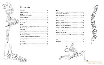 Dance Anatomy Coloring Book - Tricia Zweier [KSIĄŻKA]