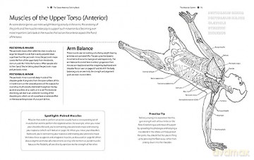 Dance Anatomy Coloring Book - Tricia Zweier [KSIĄŻKA]