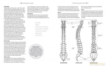 Dance Anatomy Coloring Book - Tricia Zweier [KSIĄŻKA]