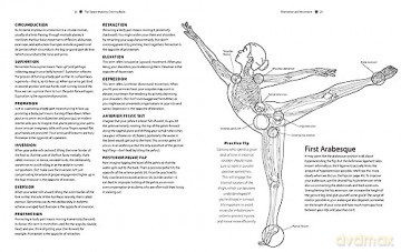 Dance Anatomy Coloring Book - Tricia Zweier [KSIĄŻKA]