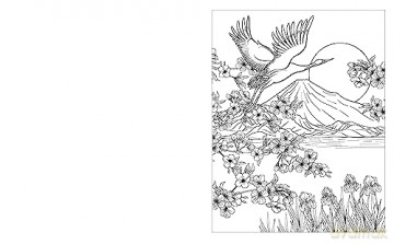 Birds Colouring Book - Tansy Willow [KSIĄŻKA]
