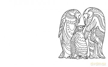 Birds Colouring Book - Tansy Willow [KSIĄŻKA]