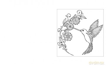 Birds Colouring Book - Tansy Willow [KSIĄŻKA]