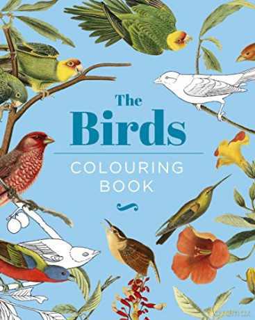 Birds Colouring Book - Peter Gray [KSIĄŻKA]
