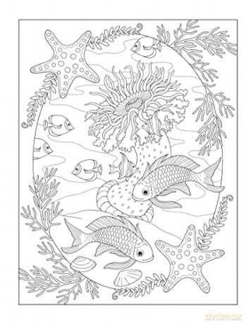 Creative Haven Enchanting Oceans Col Bk - Marty Noble [KSIĄŻKA]
