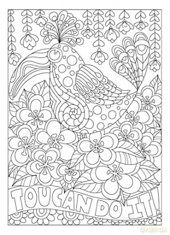 Creative Haven Fanciful Birds Col Book - Angela Porter [KSIĄŻKA]