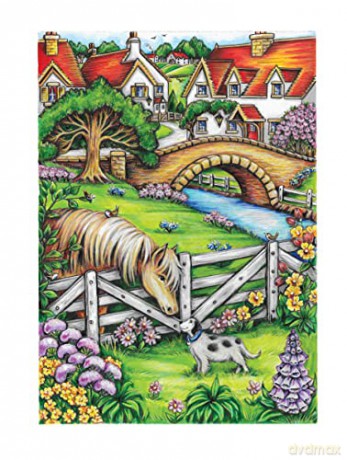 Creative Haven Village Charm Coloring Bk - Teresa Goodridge [KSIĄŻKA]