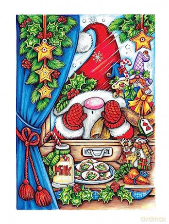 Christmas Gnomes Coloring Book - Teresa Goodridge [KSIĄŻKA]