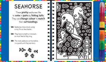 Fuzzy Art Ocean Colouring Book - Melanie Hibbert [KSIĄŻKA]