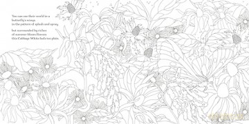 Fly Butterfly Fly Colouring Book - Dom Conlon [KSIĄŻKA]