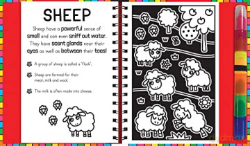 Fuzzy Art Farm Colouring Book - Melanie Hibbert [KSIĄŻKA]