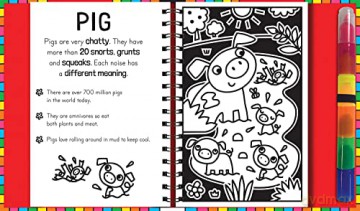 Fuzzy Art Farm Colouring Book - Melanie Hibbert [KSIĄŻKA]