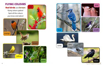 Colours In Nature - Christianne Jones [KSIĄŻKA]