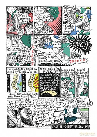 Forty Lies A Work Of Ipsedixitism - David Shenton [KSIĄŻKA]