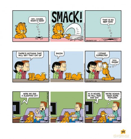 Garfield Home Cookin - Jim Davis [KSIĄŻKA]