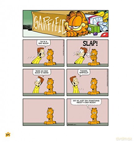 Garfield Road Pizza - Jim Davis [KSIĄŻKA]