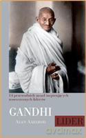 Gandhi. Lider. 14 przewodnich zasad inspirujących współczesnych liderów - Axelrod Alan [KSIĄŻKA]