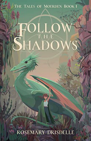 Follow The Shadows [KSIĄŻKA]