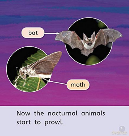 Bug Club Phonics Parent Pack 5 - Rhona Johnston [KSIĄŻKA]