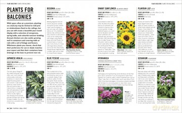 Grow Small Gardens - Zia Allaway [KSIĄŻKA]