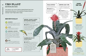 How Not To Kill Your Houseplant - Peerless Veronica [KSIĄŻKA]