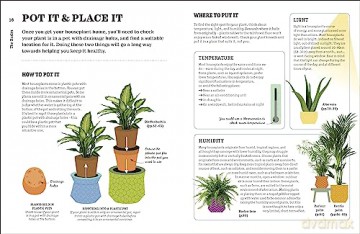 How Not To Kill Your Houseplant - Peerless Veronica [KSIĄŻKA]