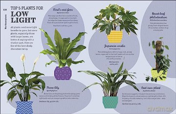 How Not To Kill Your Houseplant - Peerless Veronica [KSIĄŻKA]