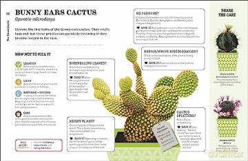 How Not To Kill Your Houseplant - Peerless Veronica [KSIĄŻKA]
